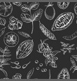 superfood seamless botanical pattern vector image