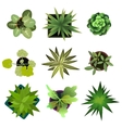 top view plants easy copy paste in your landscape vector image