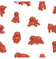 cute toy poodle pattern seamless background vector image vector image