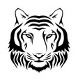 muzzle a tiger isolated on white background vector image