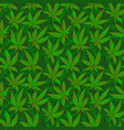 green cannabis leaf seamless pattern vector image vector image