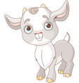 baby goat vector image