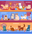 cats banner set vector image vector image