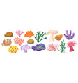 set of coral reef or seaweeds underwater plants vector image