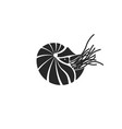 silhouette chambered nautilus pompilius vector image vector image