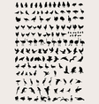 bird and fowl silhouettes vector image vector image