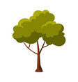 green tree summer landscape design flat style vector image