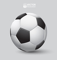 soccer ball vector image
