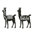 funny set with llama silhouette vector image