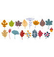 autumn flowers hand drawn doodle fall nature vector image
