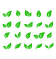 hand drawn veined green leaf icon eco set vector image