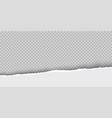 torn paper with ripped edges realistic vector image vector image