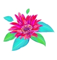 cute gerbera on white background vector image