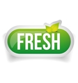 fresh button with leaves vector image vector image