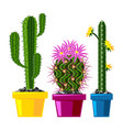 cactus flat style nature desert flower green vector image vector image