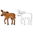 animal outline for little cow vector image