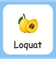 loquat clip art with text flat design vector image vector image