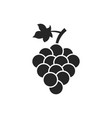 grape isolated icon leaf wine black vector image vector image