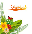 tropical nature vector image