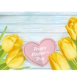beautiful tulips eps 10 vector image