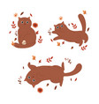 set of cat in autumn vector image vector image
