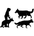 set of dog silhouettes german shepherd dogs vector image