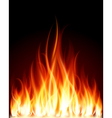burning flames background vector image