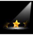golden star vector image