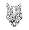 portrait of wolf head and a wild animal angry vector image vector image