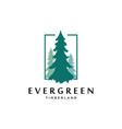 pines tree logo design templateevergreen vector image