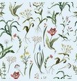 seamless pattern with wild thin flowers trendy vector image