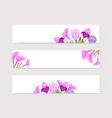 floral lilac and violet blossom flowers on white vector image vector image