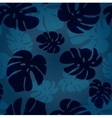 monstera leaf pattern tropical vector image vector image