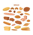 bread and bun food products pastry bakery shop vector image vector image