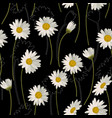 seamless pattern with white daisies on black vector image vector image