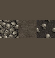 textures of dry soil and ground with buried skulls vector image