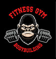 gorilla with gym barbell in mouth design element vector image