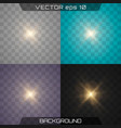 star flashed sequins vector image vector image