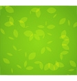 green foliage vector image vector image