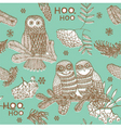 owls hooting vector image vector image
