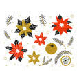 winter plants new year red flowers poinsettia vector image vector image