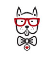 cute gentleman dog hipster tshirt design vector image vector image