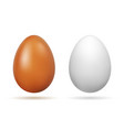 set of two realistic white and light brown whole vector image