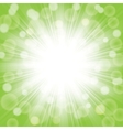 green sunlight vector image vector image