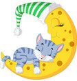 cat sleep on the moon vector image