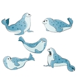 blue spotted seals vector image vector image