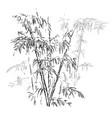 chinese traditional bamboo branches isolated vector image vector image
