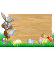 easter bunny pointing at sign vector image