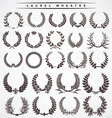 laurel wreaths vector image