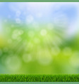 green bokeh with grass border vector image